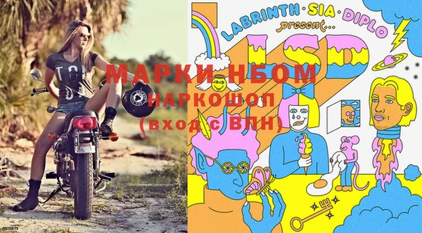ECSTASY Армянск