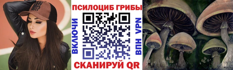 Псилоцибиновые грибы Psilocybe  Рыбное 